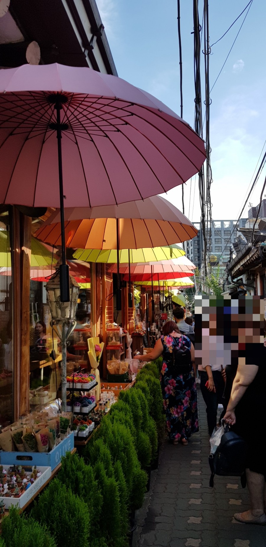 익선칼라 이미지