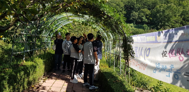 자연과숲 이미지