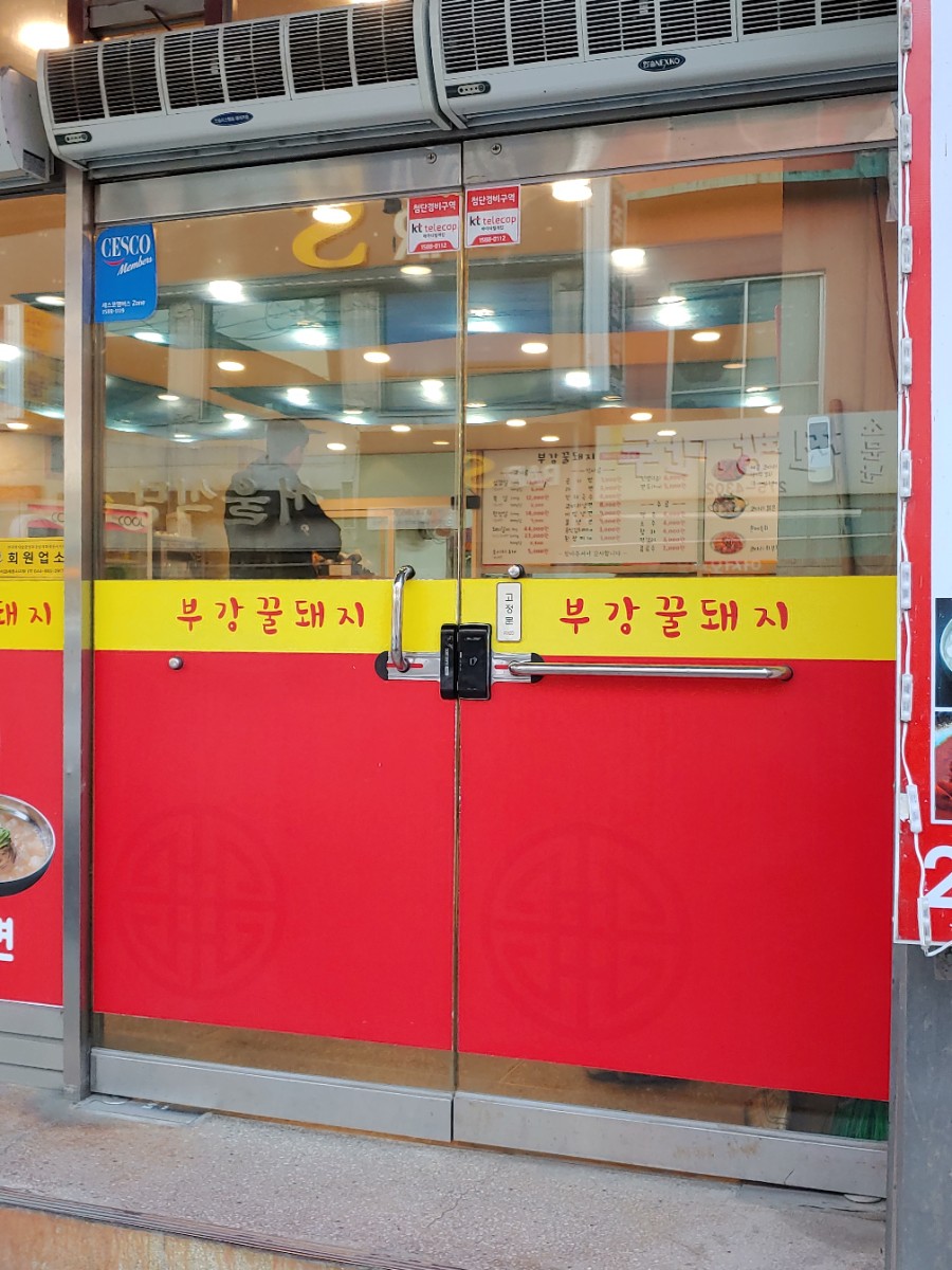 부강 꿀돼지 이미지