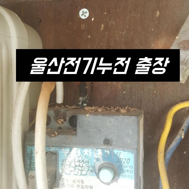 울산전업사 이미지