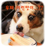 북촌삼대갈비 이미지