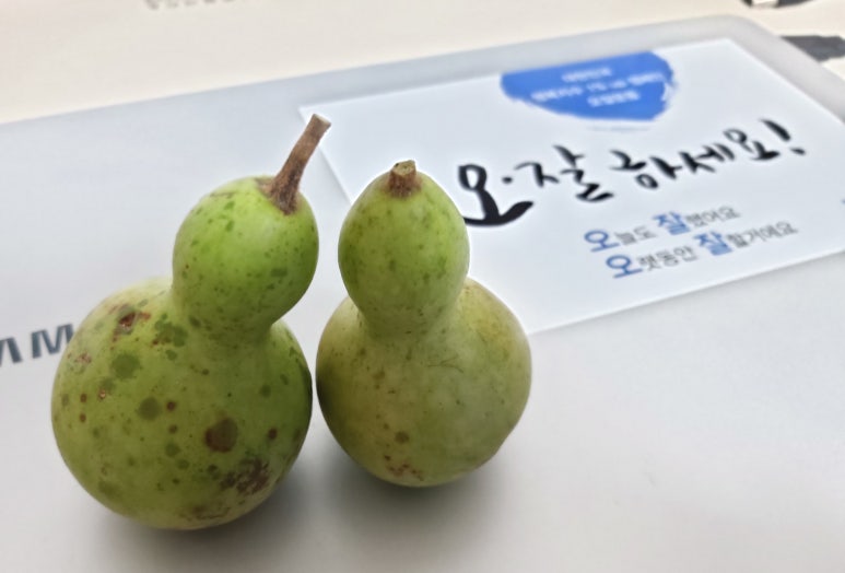(주)진이어스 이미지
