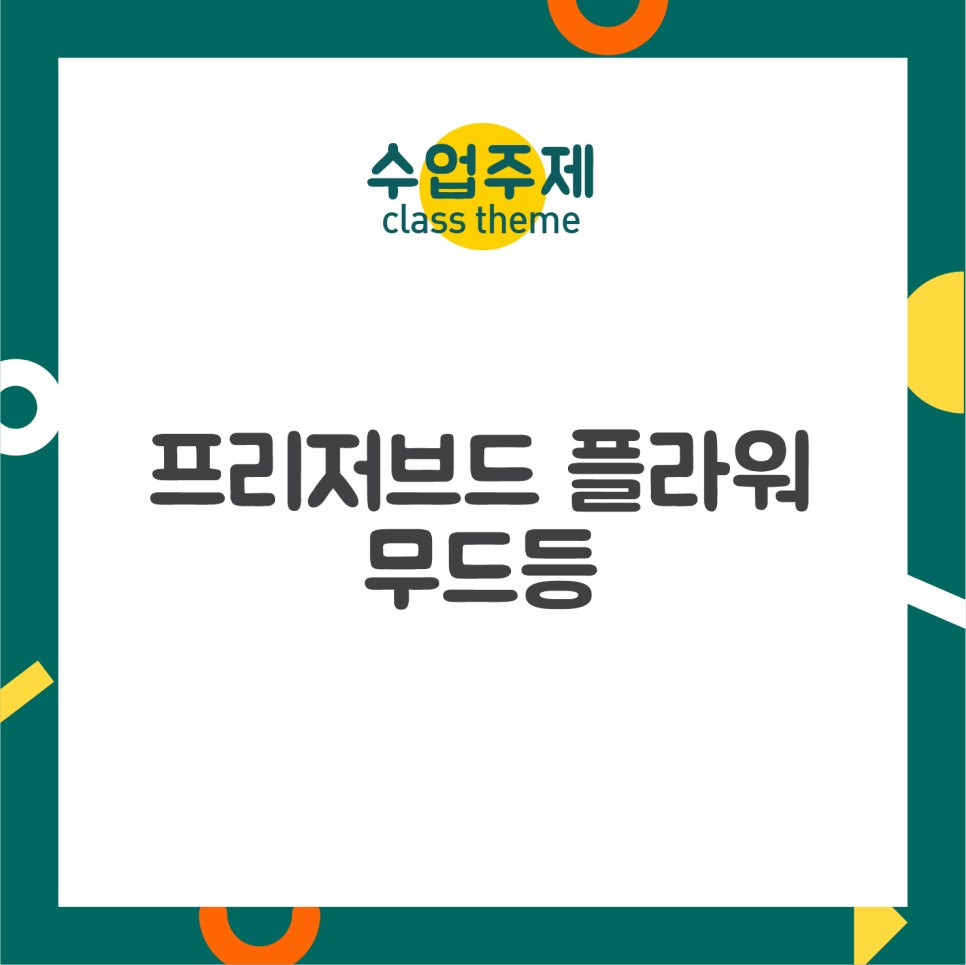 푸치토야 이미지