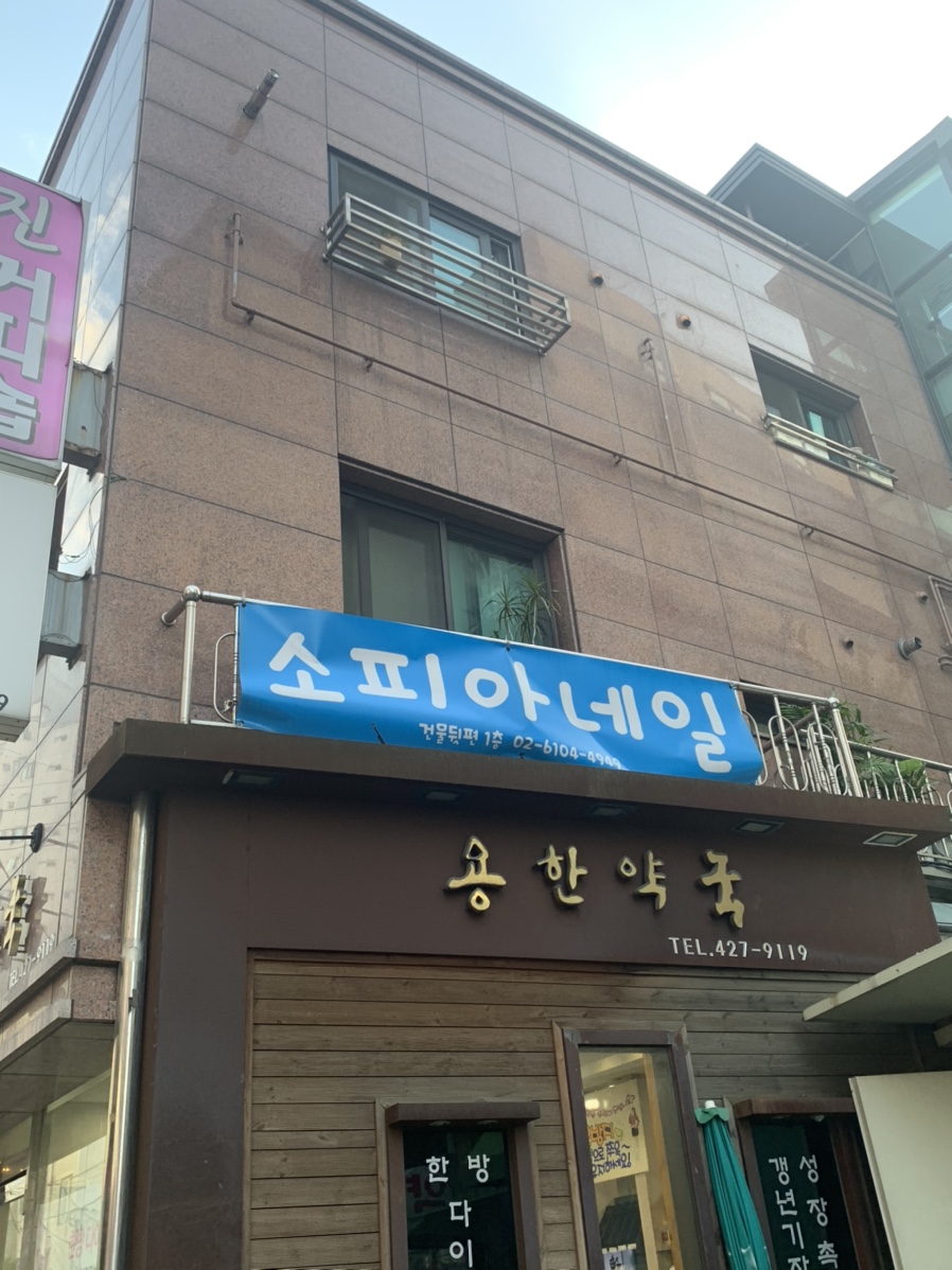 소피아네일 이미지