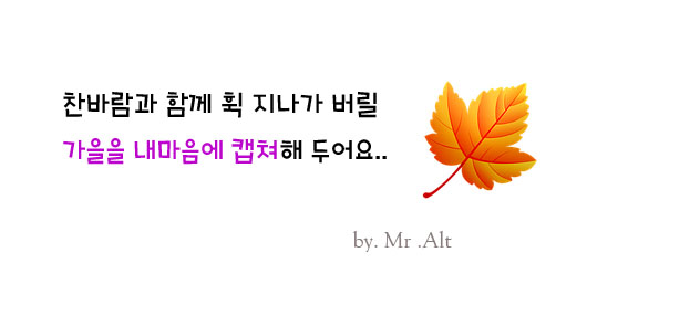 호야포차 이미지