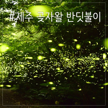청수청년곱창 이미지