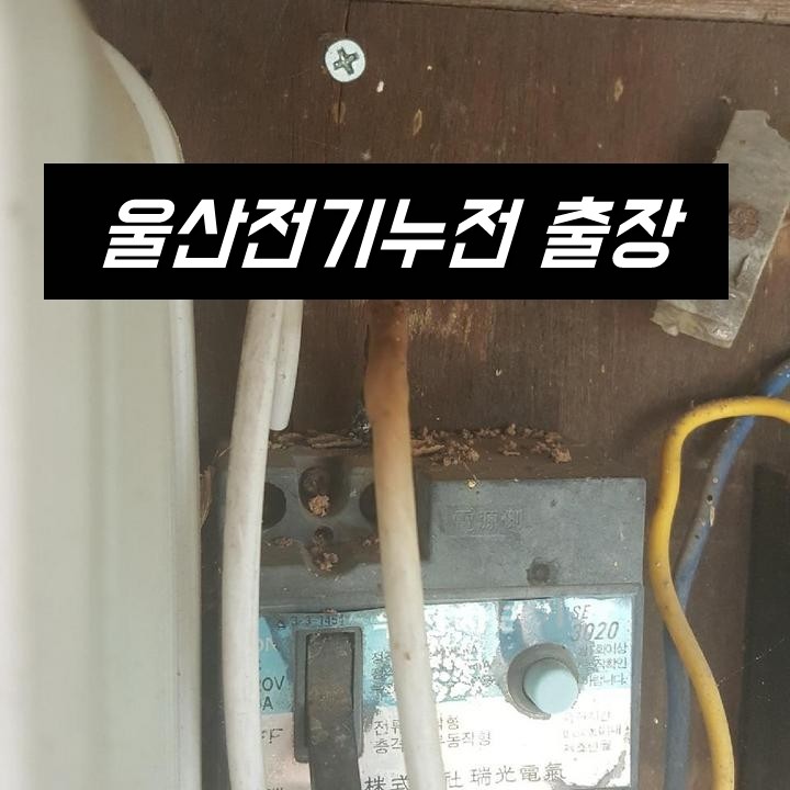 울산전기조명전업사 이미지