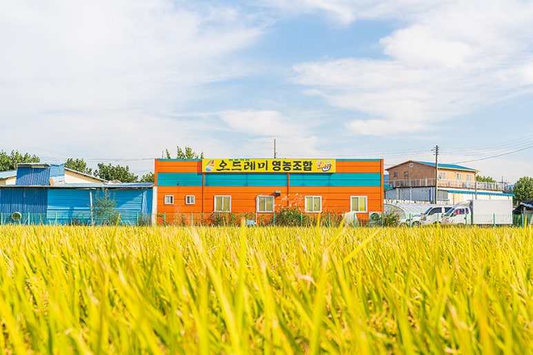 육남매필름 이미지
