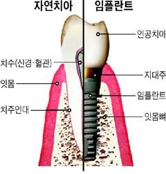 동민치과의원 이미지