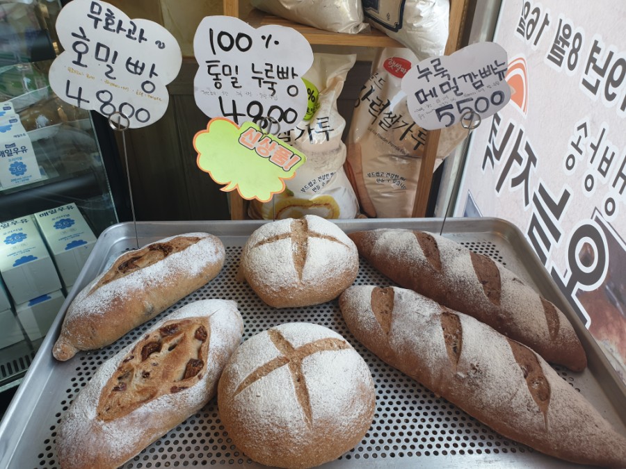 민들레빵 이미지