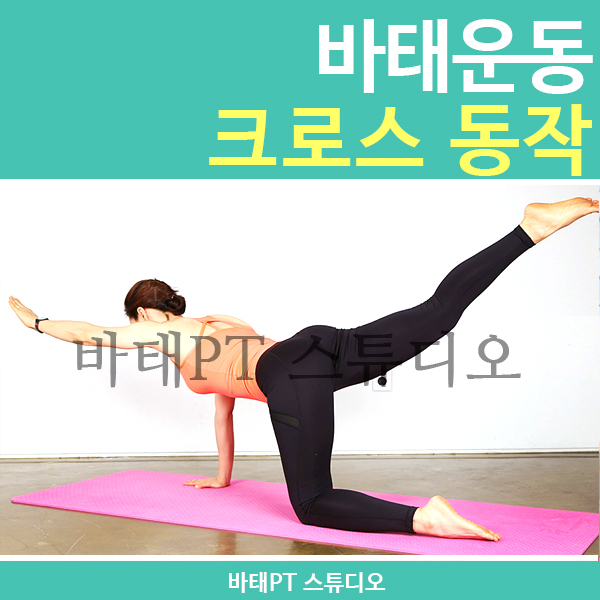 태다린스튜디오 이미지