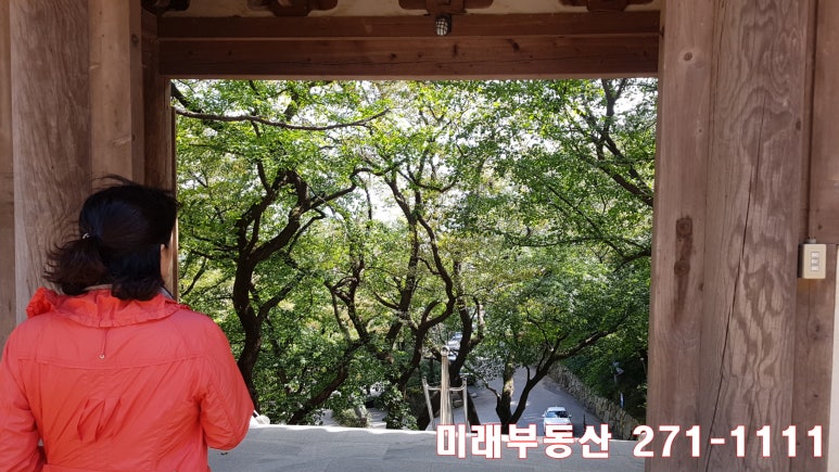 당감시장 이미지