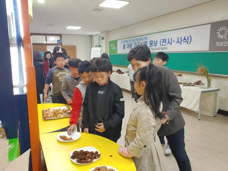 화순만연초등학교 이미지
