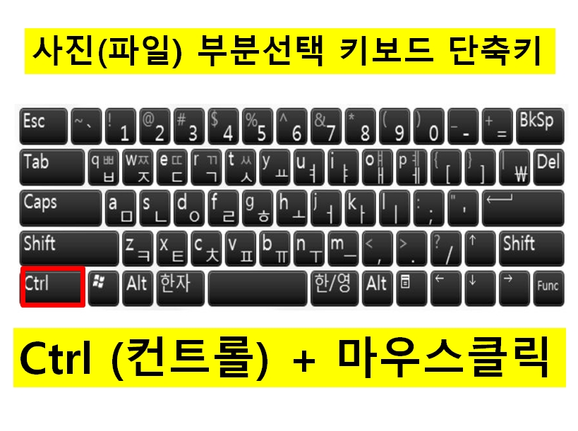 사진(파일) 복사, 붙여넣기, 키보드 단축키 : 네이버 블로그