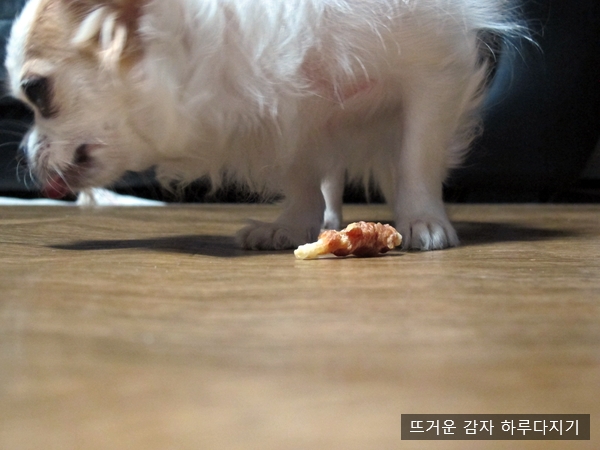 먹자 이미지