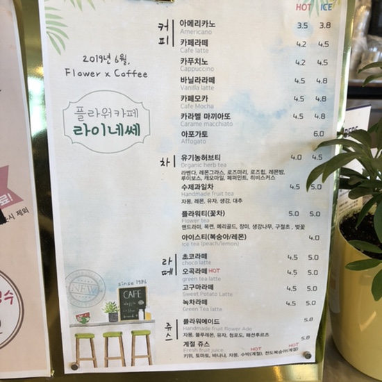 라이네쎄 이미지