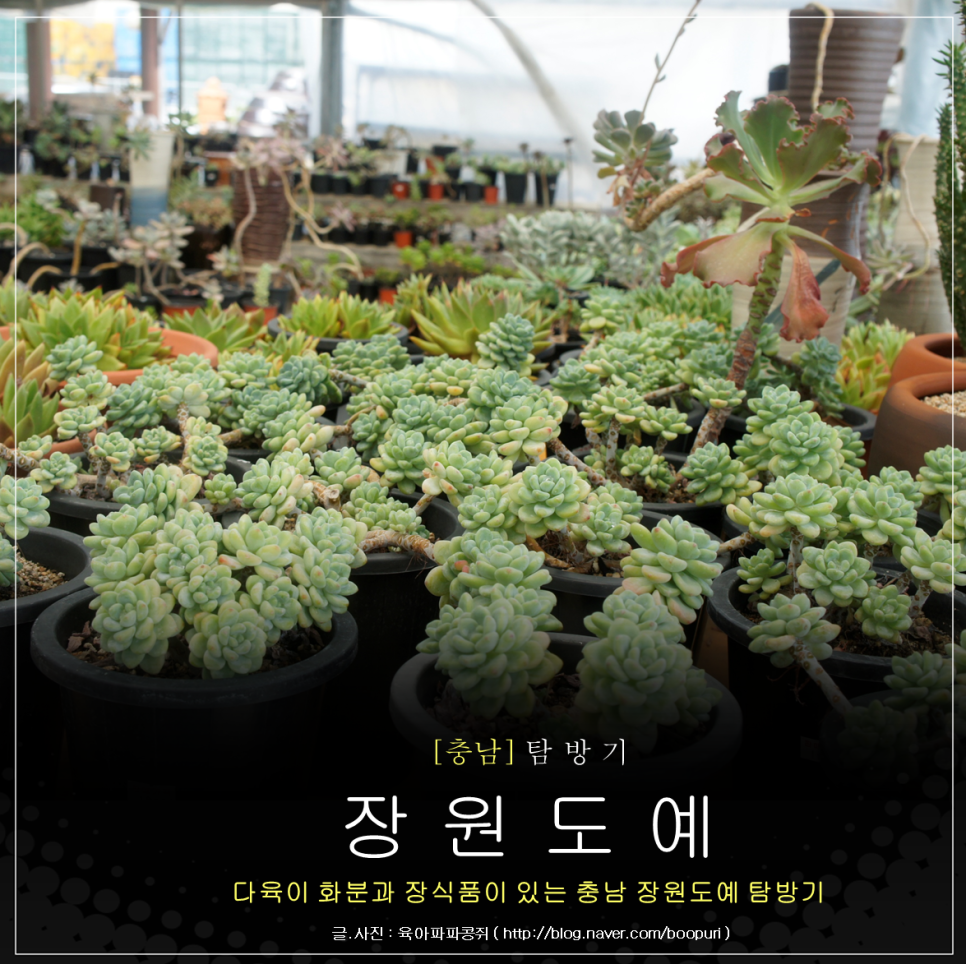 장원도예 이미지