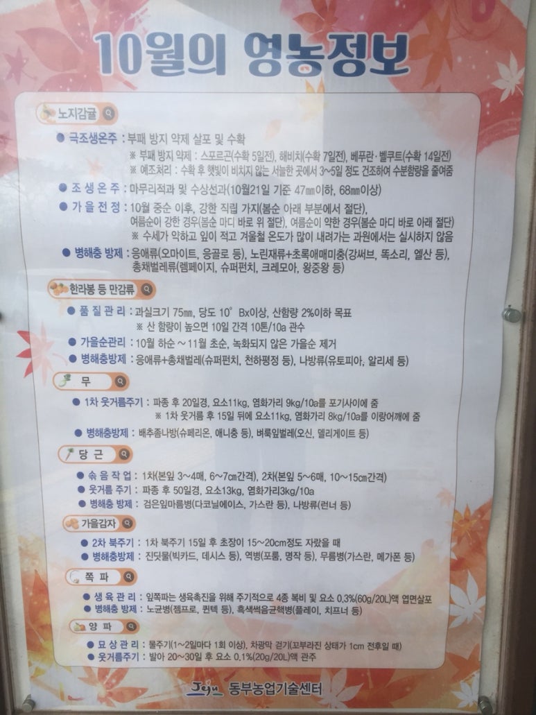 솔영농 이미지