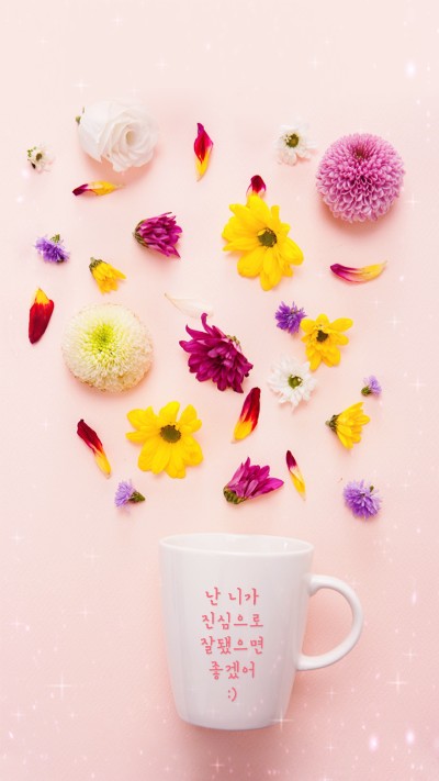 스타일피트 이미지