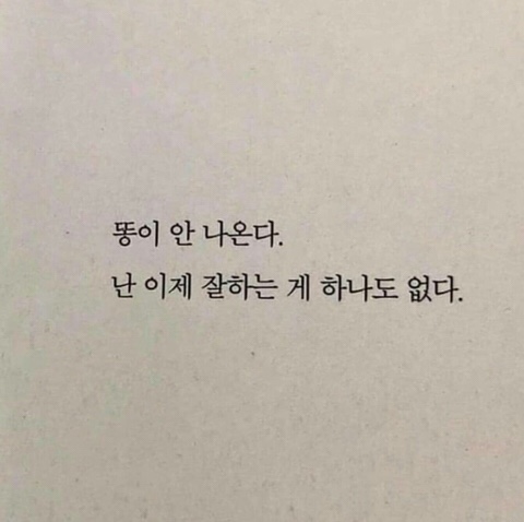 올뷰 이미지