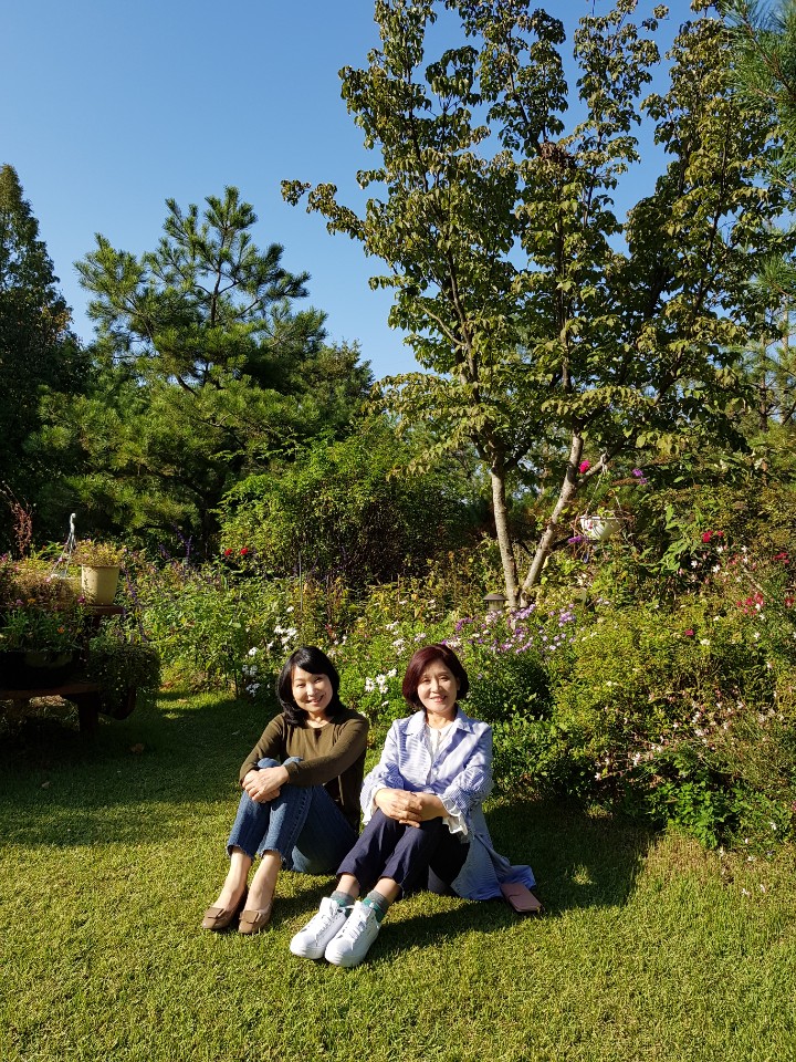 아아마시고 이미지