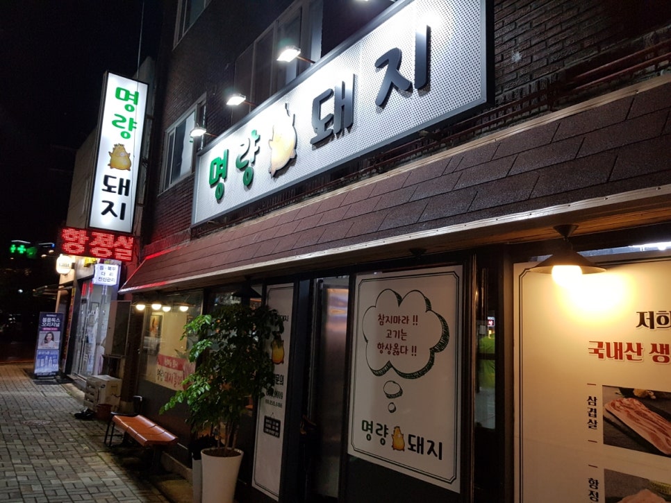 명량돼지 이미지