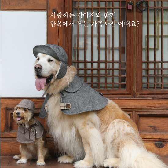 북촌마켓 이미지