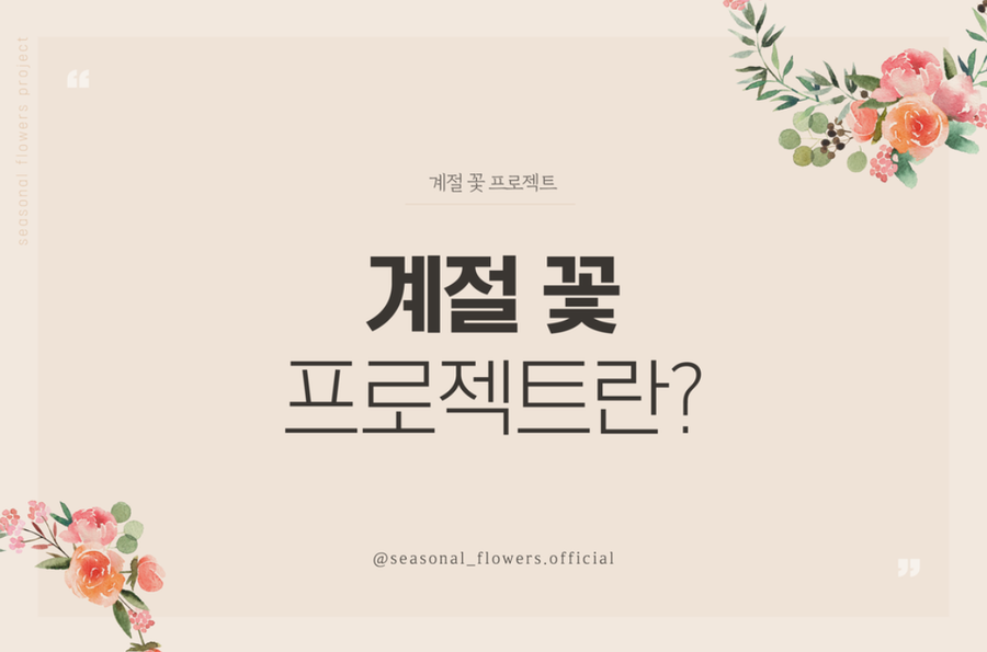 칼라프로젝트 이미지