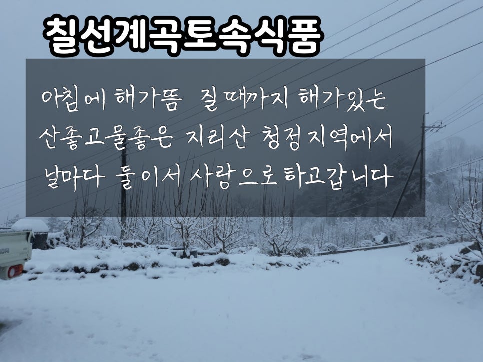 지리산 칠선계곡 토속식품 이미지
