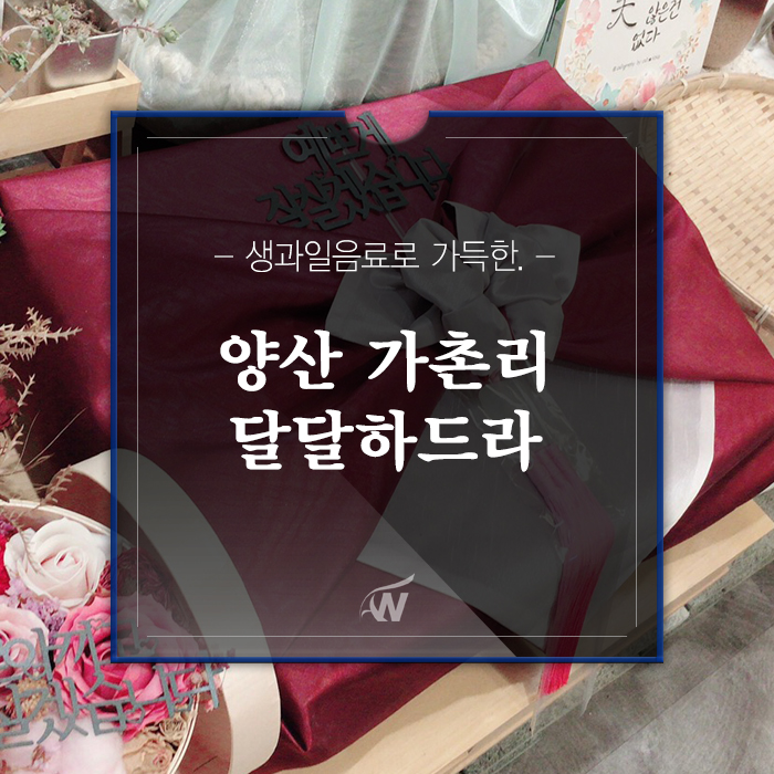 가촌리까페 이미지