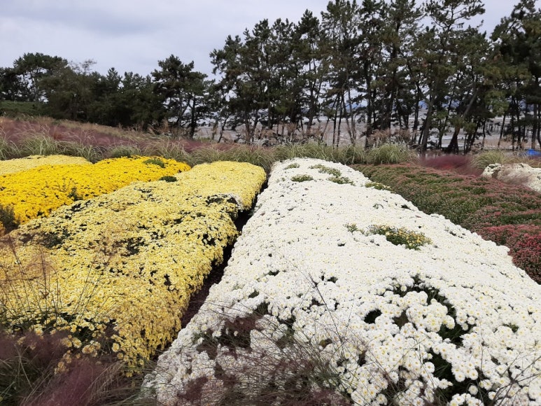 함평예촌 이미지
