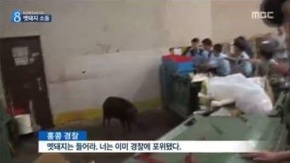 영앤주 이미지