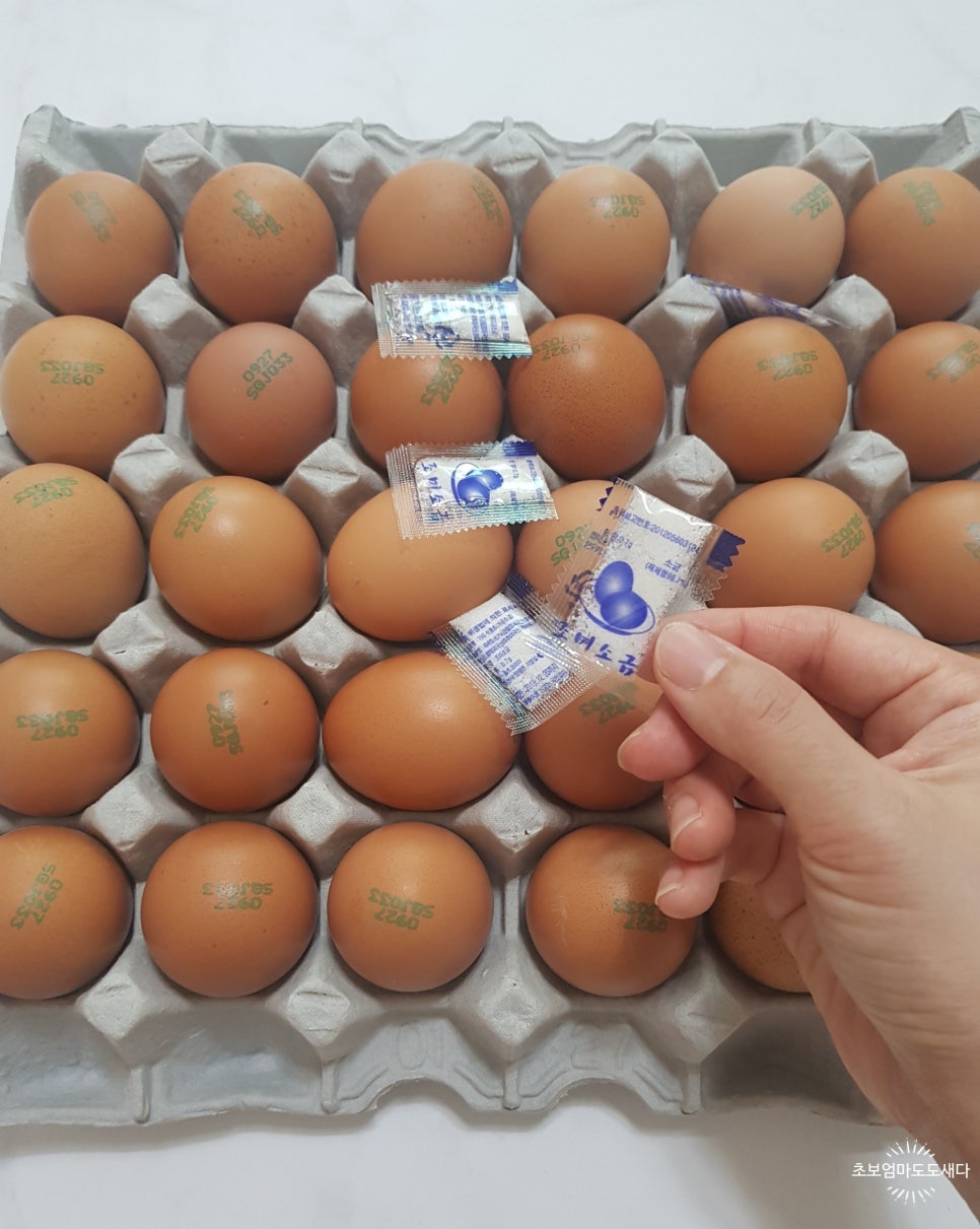 배달의계란 이미지