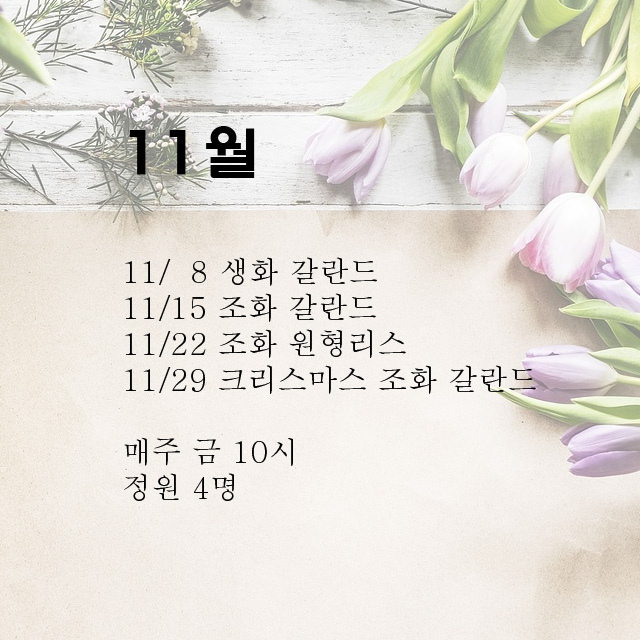 플로라블러썸 이미지