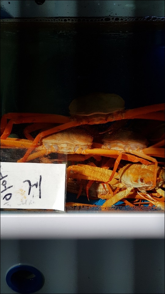 안동횟집71호 이미지