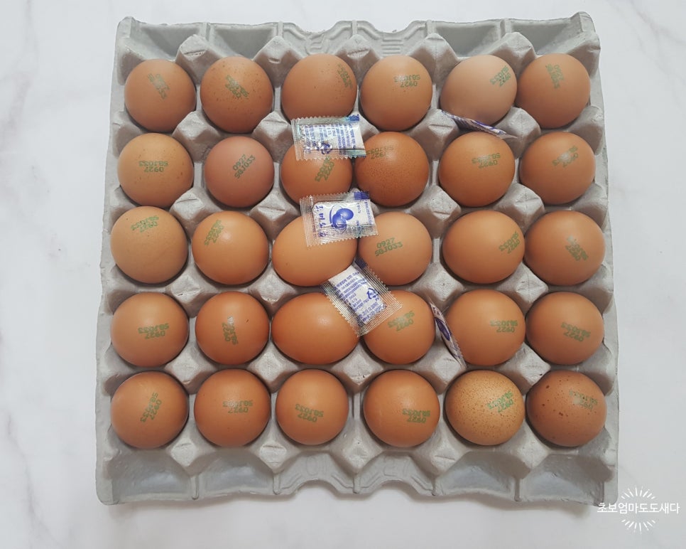 배달의계란 이미지