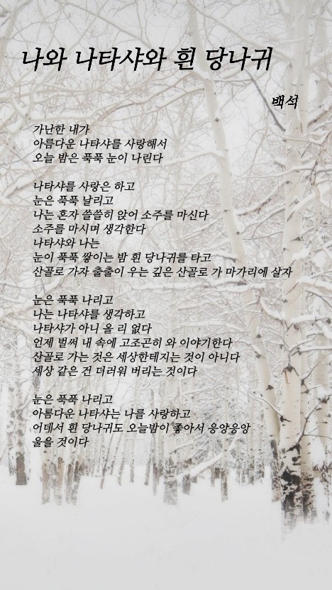 흰당나귀 이미지