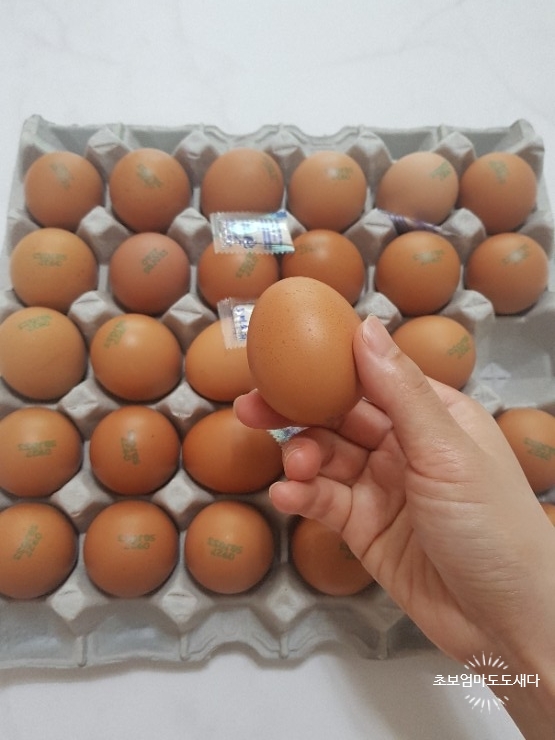 배달의계란 이미지