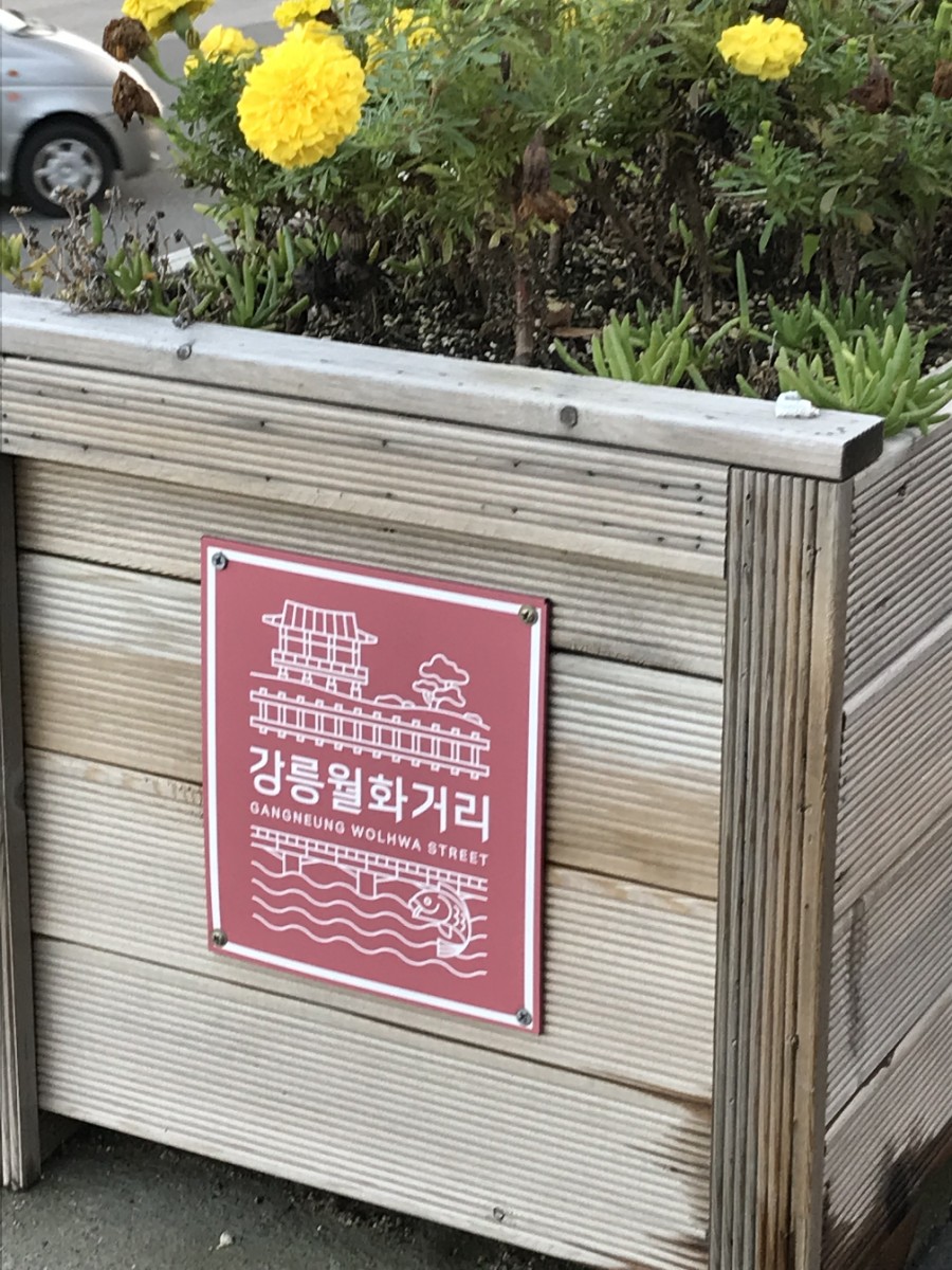 강릉오란다 이미지