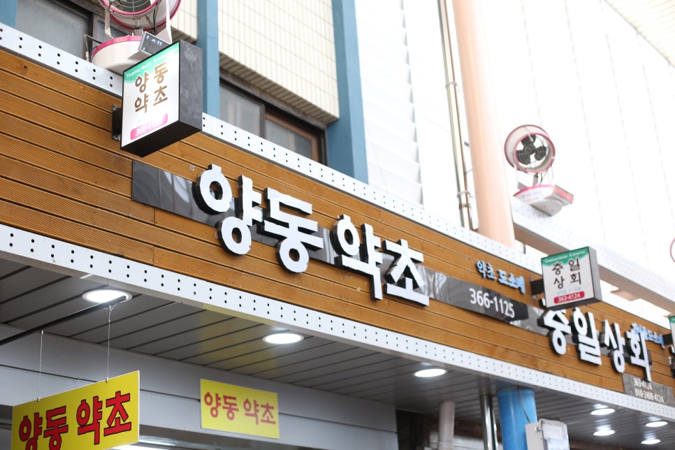 양동약초 이미지