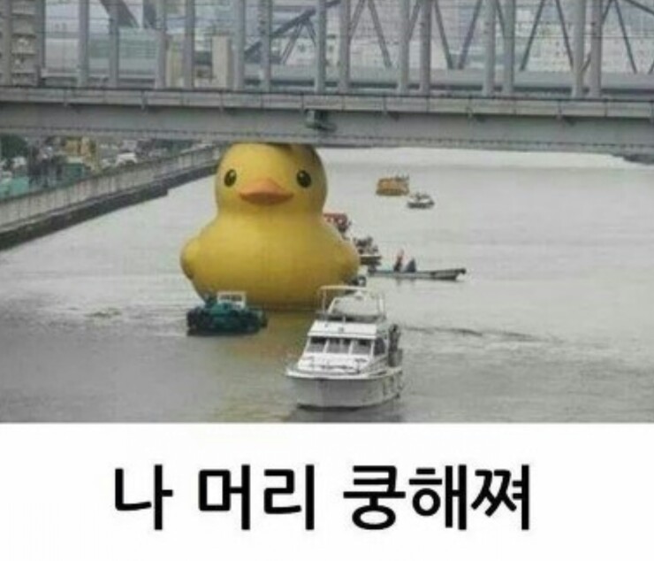 루나프로젝트 이미지