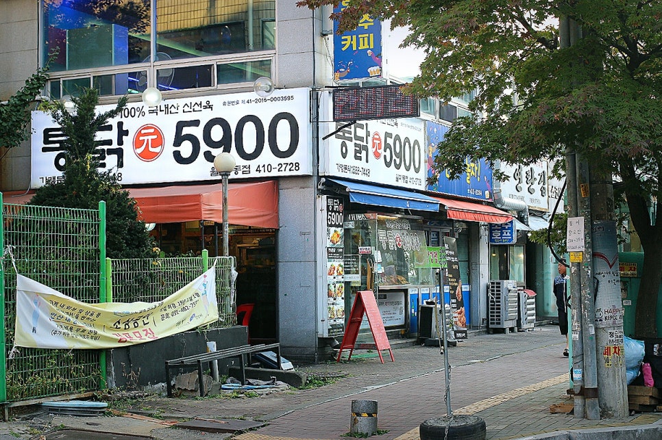 통닭원5900 이미지