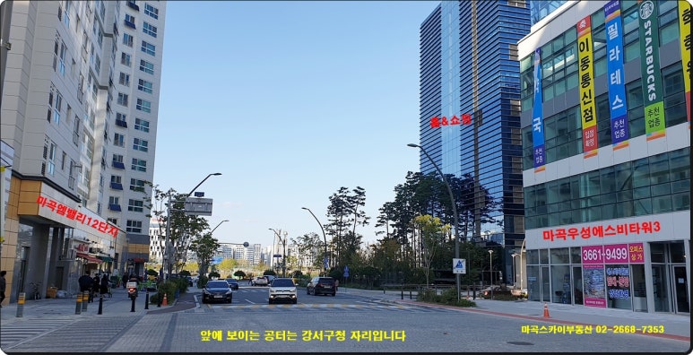 엔칙스 마곡점 이미지