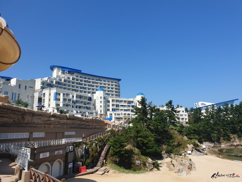 대명기프트 이미지