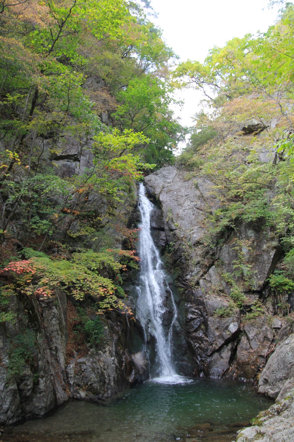 소백산산마루식당 이미지