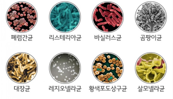 뉴홈클린 이미지