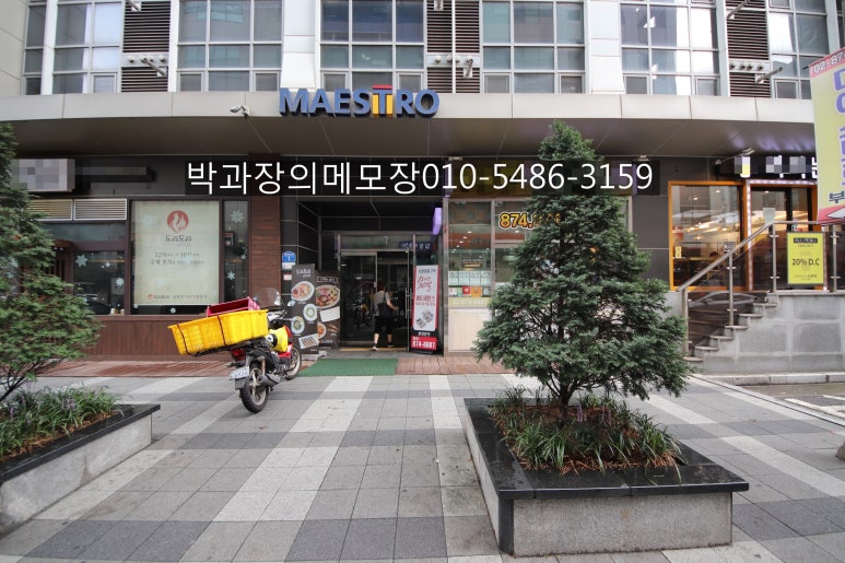 마에스트로박 이미지
