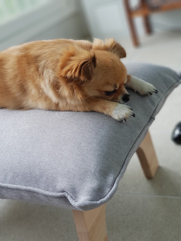 조하우스 이미지