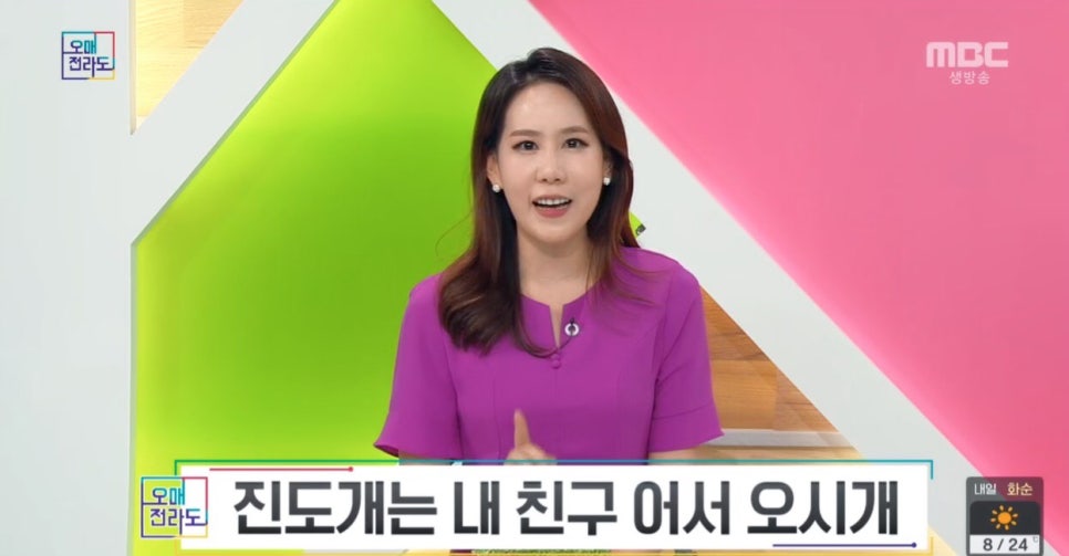 헬로빛날 이미지