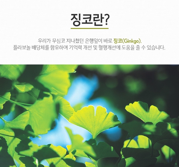징코바이오 이미지